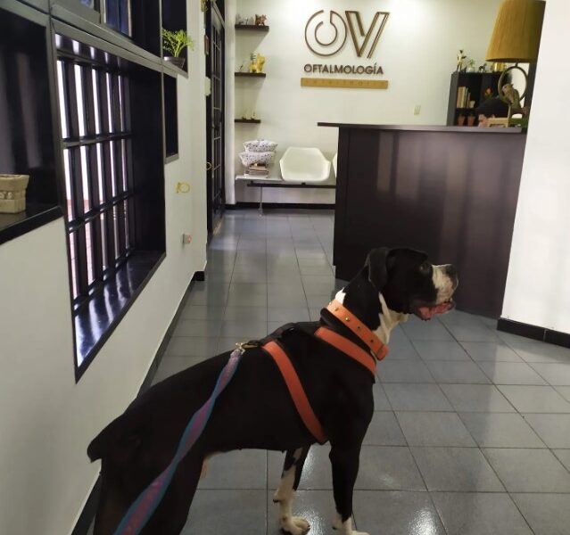 Centro Veterinario La Trinidad